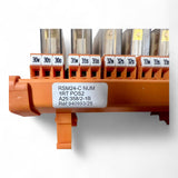 Weidmüller Relaiskarte RSM24-C NUM mit 24x SCHRACK RP310024 Relais – 24 V DC